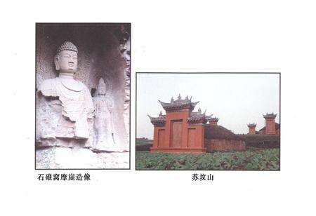 《眉山县文物志》.pdf电子版_四川省志预览图5