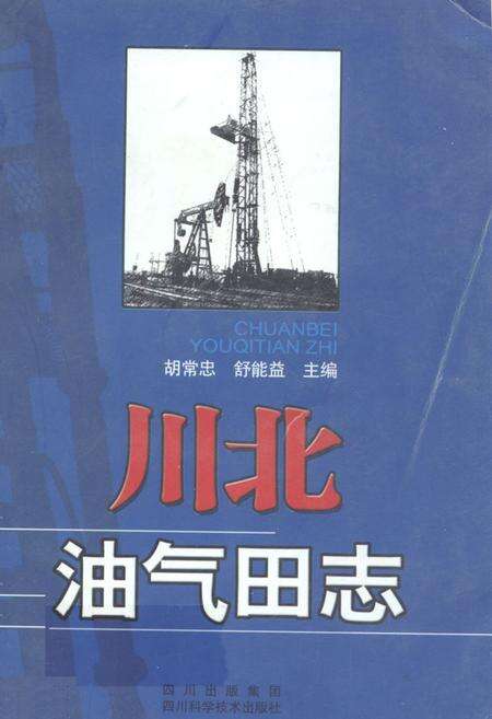 《川北油气田志》.pdf电子版_四川省志缩略图
