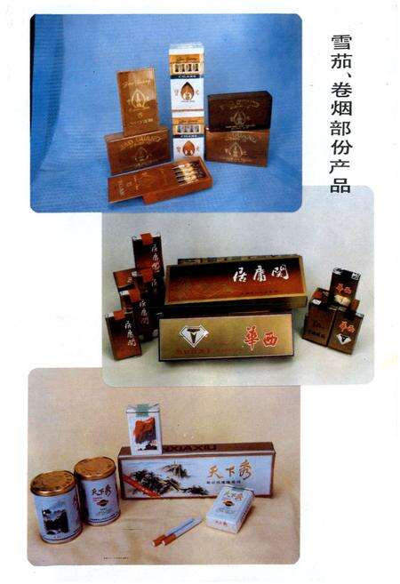 《什邡卷烟厂厂志》.pdf电子版_四川省志预览图3