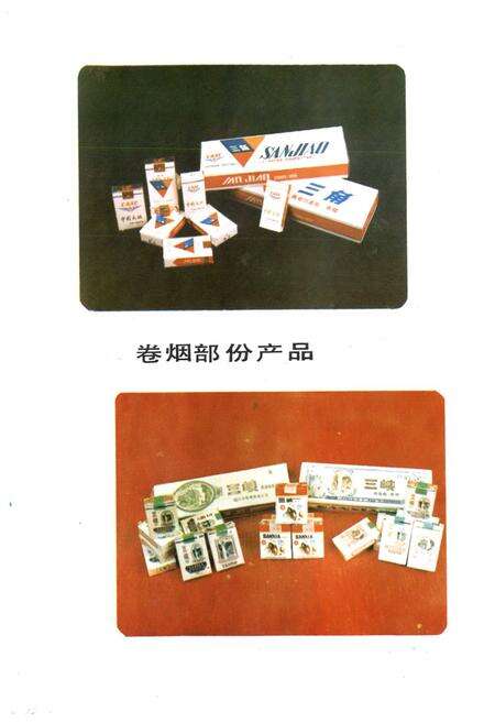 《什邡卷烟厂厂志》.pdf电子版_四川省志预览图4