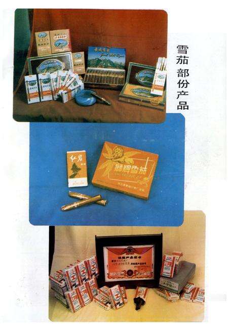 《什邡卷烟厂厂志》.pdf电子版_四川省志预览图5