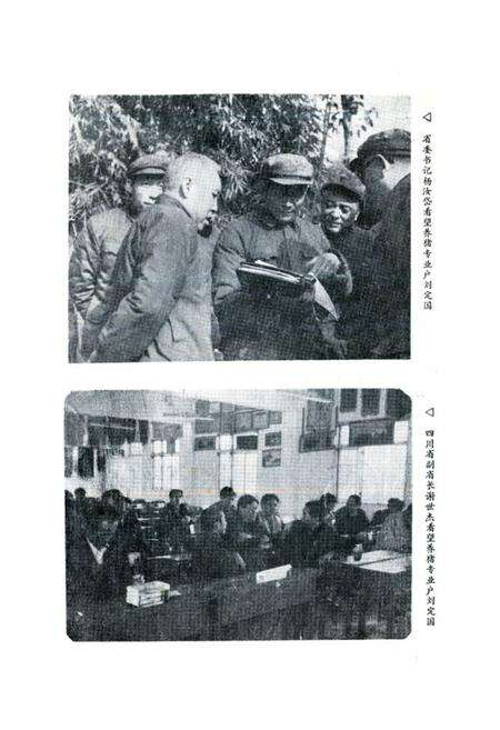 《安县畜牧志》.pdf电子版_四川省志预览图3