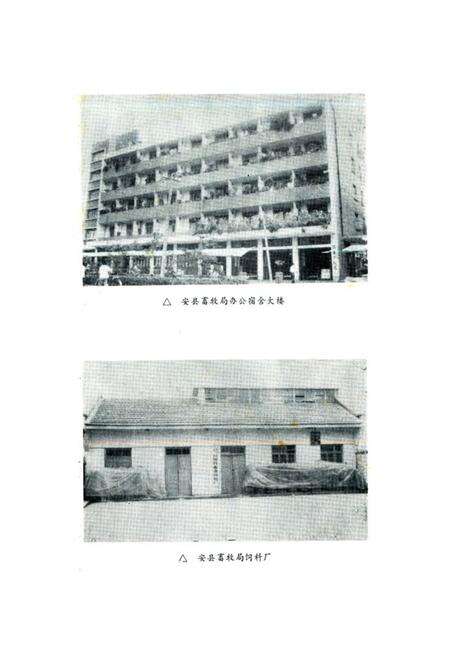 《安县畜牧志》.pdf电子版_四川省志预览图4