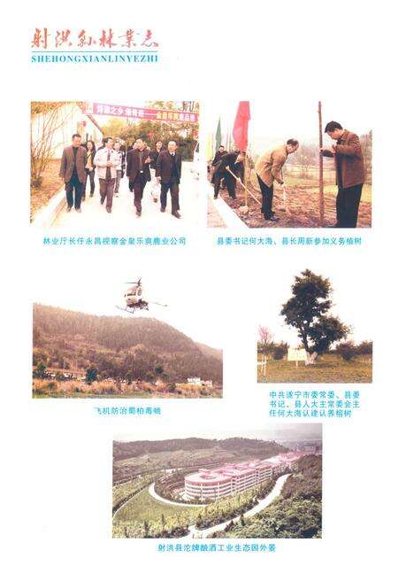 《射洪县林业志(1986-2005)》.pdf电子版_四川省志预览图5