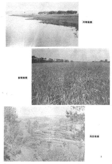 《眉山县农业局志》.pdf电子版_四川省志预览图2