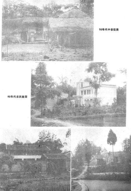 《眉山县农业局志》.pdf电子版_四川省志预览图5