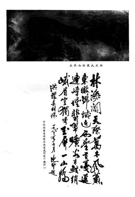 《洪雅县林业志》.pdf电子版_四川省志预览图2