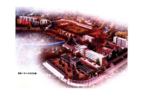 《隆昌一中校志(1903-2003)》.pdf电子版_四川省志预览图3