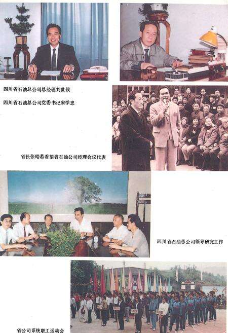 《四川省石油公司志》.pdf电子版_四川省志预览图3