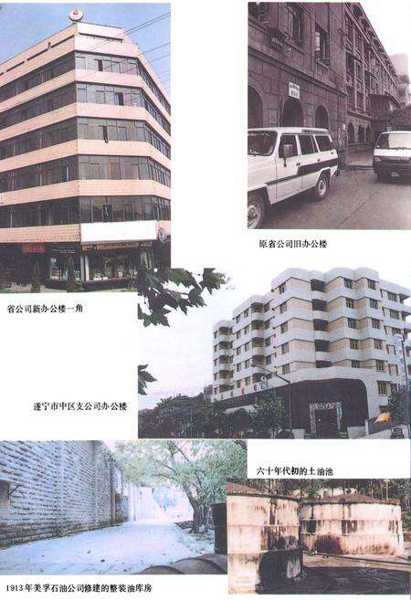 《四川省石油公司志》.pdf电子版_四川省志预览图4