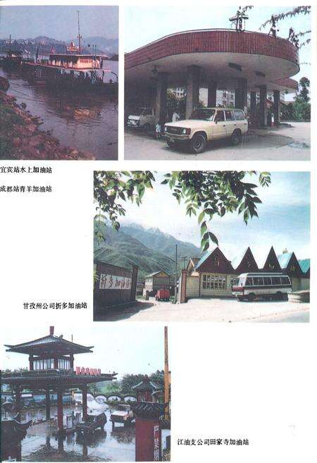 《四川省石油公司志》.pdf电子版_四川省志预览图5