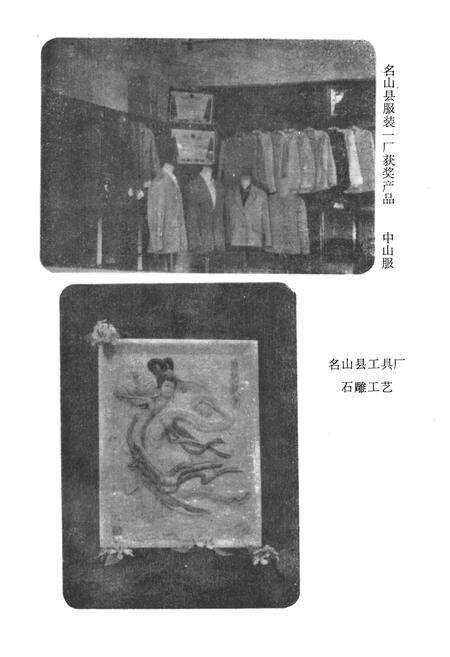 《名山县手工业志》.pdf电子版_四川省志预览图3