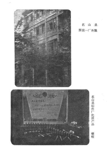 《名山县手工业志》.pdf电子版_四川省志预览图4