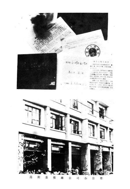 《简阳县棉麻公司志》.pdf电子版_四川省志预览图4