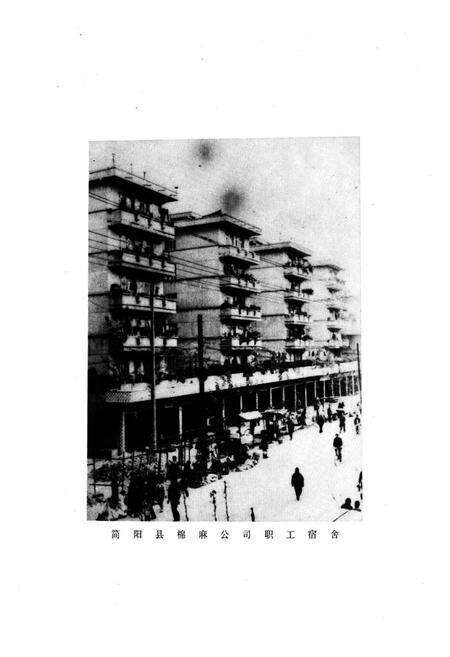 《简阳县棉麻公司志》.pdf电子版_四川省志预览图5