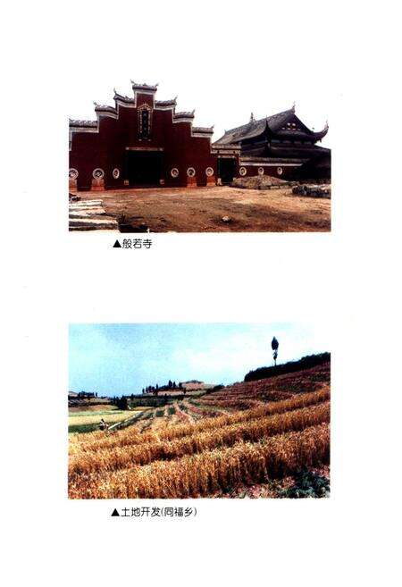 《内江市东兴区国土志(1940-1997)》.pdf电子版_四川省志预览图5