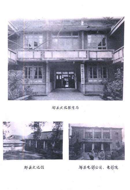 《郫县文化志》.pdf电子版_四川省志预览图2