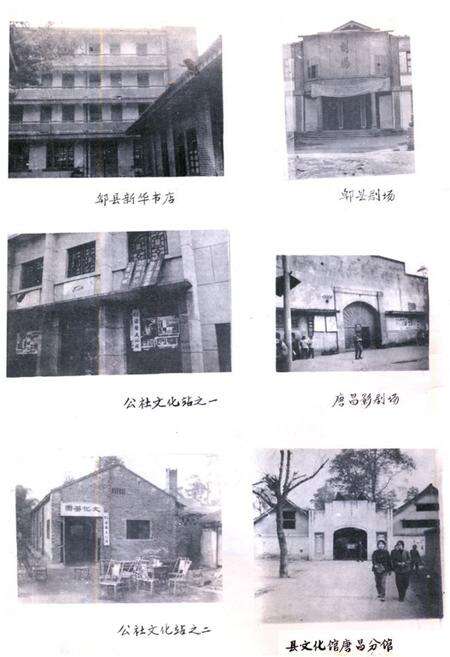 《郫县文化志》.pdf电子版_四川省志预览图3