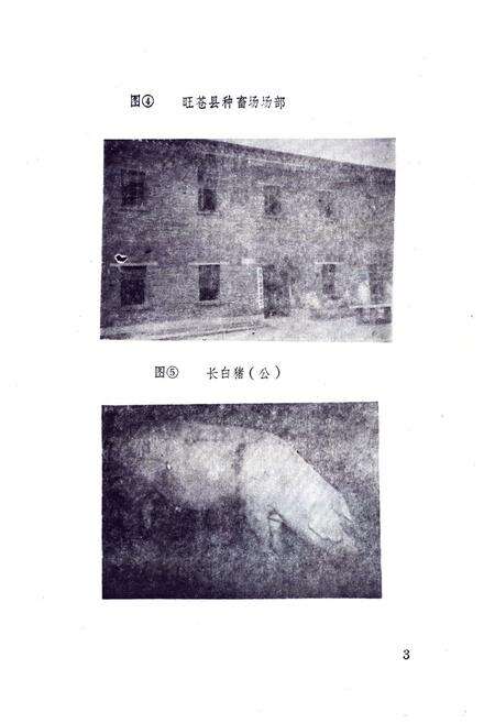 《旺苍县畜牧志》.pdf电子版_四川省志预览图4