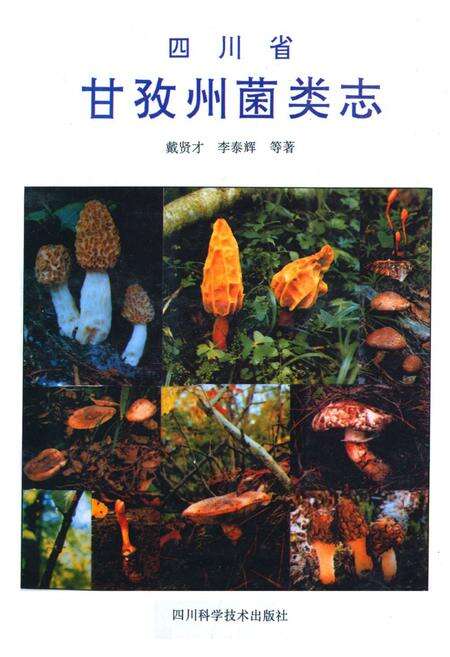 《四川省甘孜州菌类志》.pdf电子版_四川省志缩略图