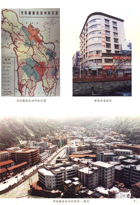 《甘孜藏族自治州畜牧志》.pdf电子版_四川省志预览图2