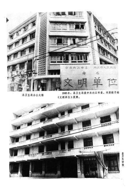 《安岳县卫生志644-1985》.pdf电子版_四川省志预览图4