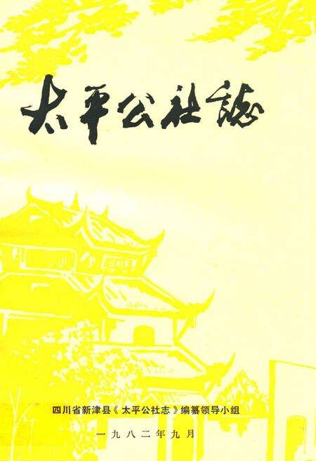 《太平公社志》.pdf电子版_四川省志缩略图