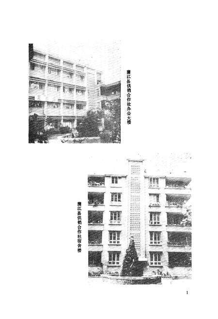 《蒲江县供销合作志》.pdf电子版_四川省志预览图4