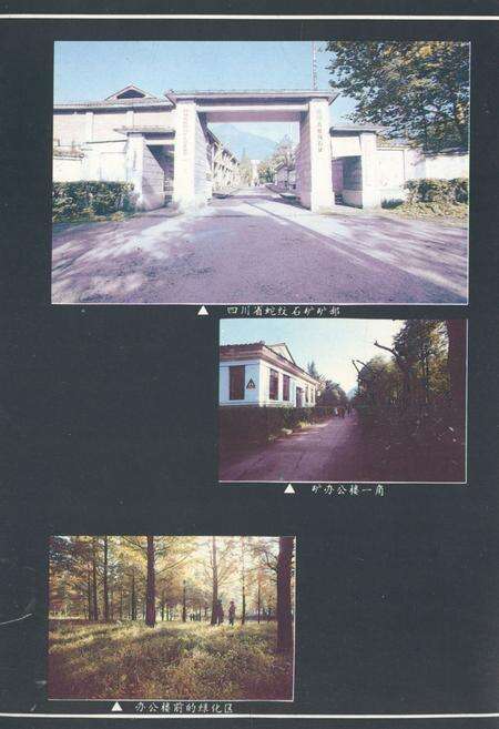 《四川省蛇纹石矿矿志1950-1990》.pdf电子版_四川省志预览图2