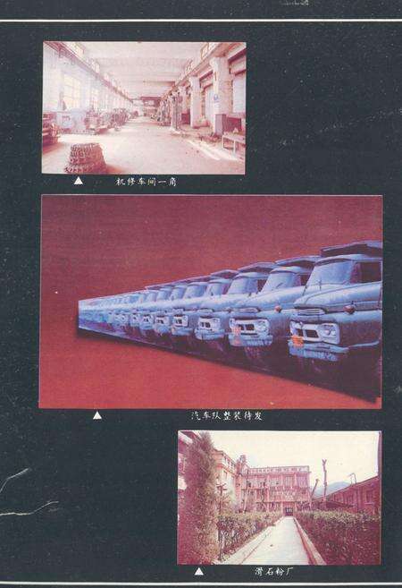 《四川省蛇纹石矿矿志1950-1990》.pdf电子版_四川省志预览图4