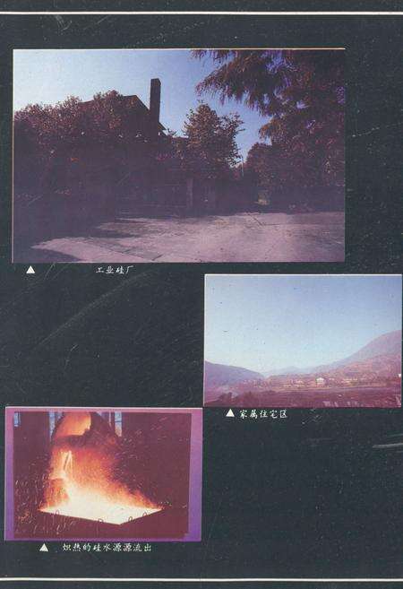 《四川省蛇纹石矿矿志1950-1990》.pdf电子版_四川省志预览图5