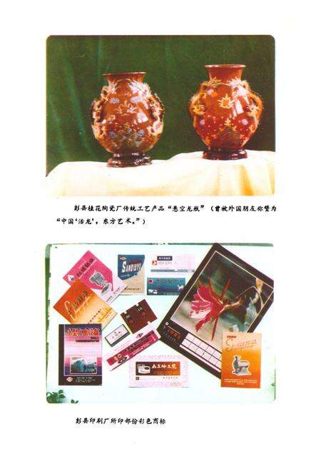 《彭县工业局志》.pdf电子版_四川省志预览图3