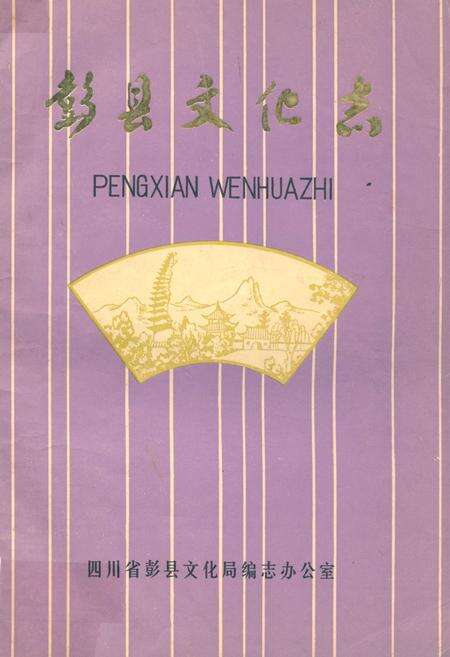 《彭县文化志》.pdf电子版_四川省志缩略图