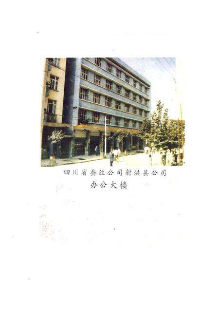 《射洪乡蚕丝志》.pdf电子版_四川省志预览图2