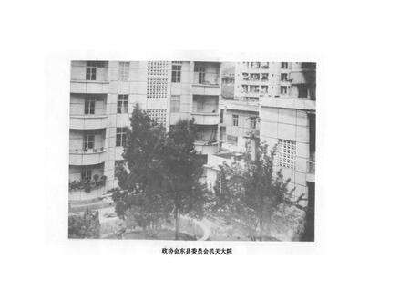 《会东县政协志》.pdf电子版_四川省志预览图1