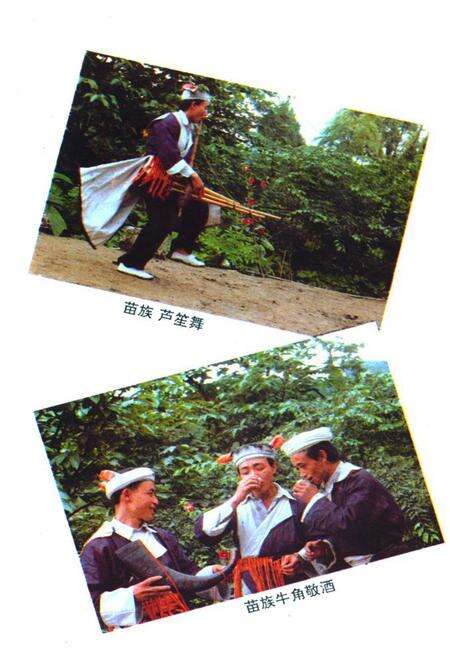 《古蔺县民族志》.pdf电子版_四川省志预览图5