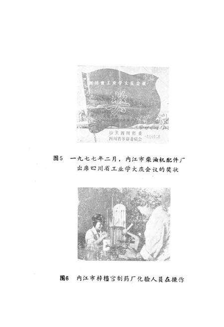 《内江市机关志专辑第三工业局志》.pdf电子版_四川省志预览图4