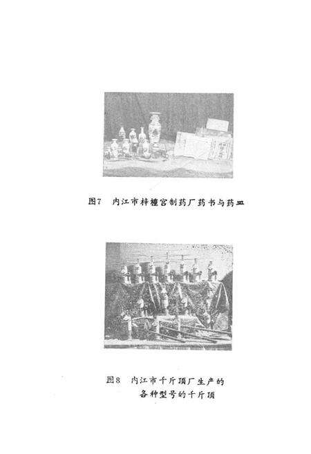 《内江市机关志专辑第三工业局志》.pdf电子版_四川省志预览图5