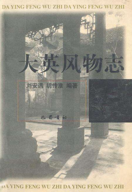 《大英风物志》.pdf电子版_四川省志缩略图