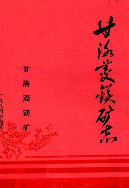 《甘洛菱镁矿志》.pdf电子版_四川省志缩略图