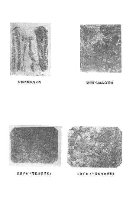 《甘洛菱镁矿志》.pdf电子版_四川省志预览图4
