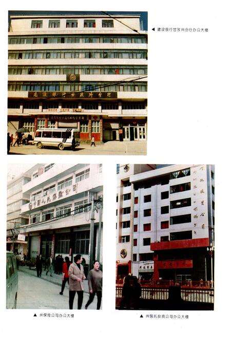 《甘孜藏族自治州金融志》.pdf电子版_四川省志预览图5