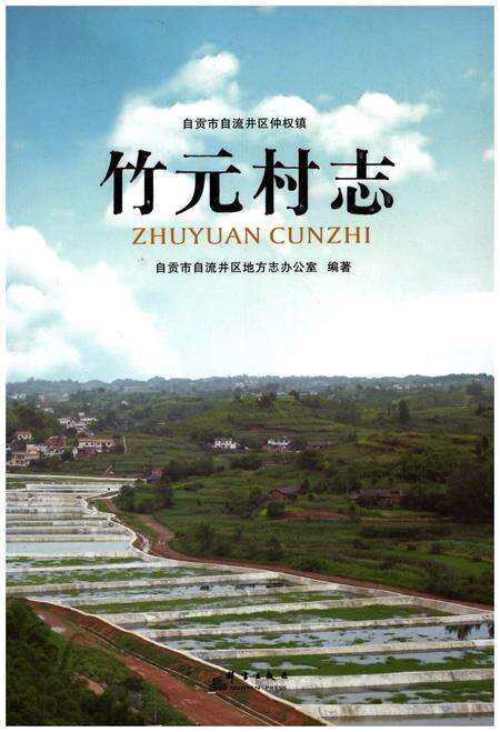 《竹元村志》.pdf电子版_四川省志缩略图