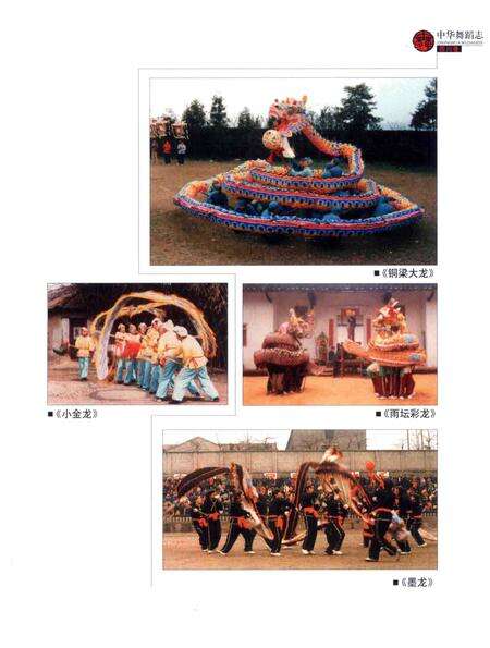 《中华舞蹈志·四川卷》.pdf电子版_四川省志预览图3