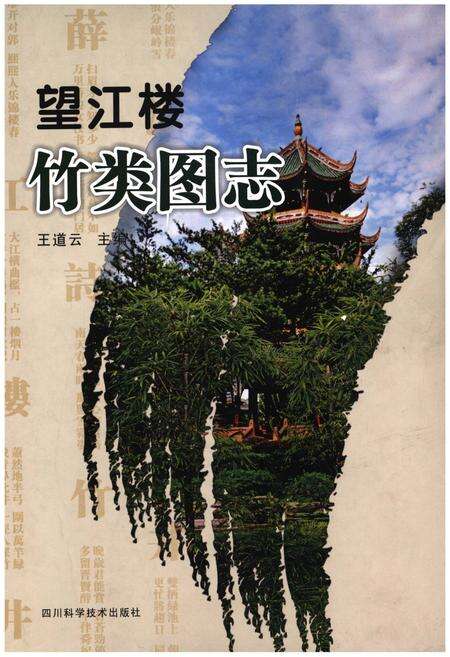 《望江楼竹类图志》.pdf电子版_四川省志缩略图