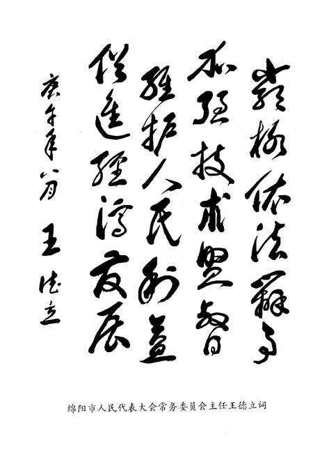 《绵阳市技术监督志》.pdf电子版_四川省志预览图3