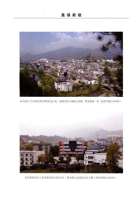 《龙凤镇志(1813-2003)》.pdf电子版_四川省志预览图4