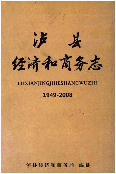 《泸县经济和商务志1949-2008》.pdf电子版_四川省志缩略图