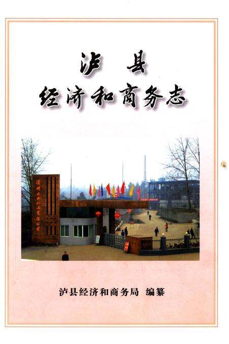 《泸县经济和商务志1949-2008》.pdf电子版_四川省志预览图1