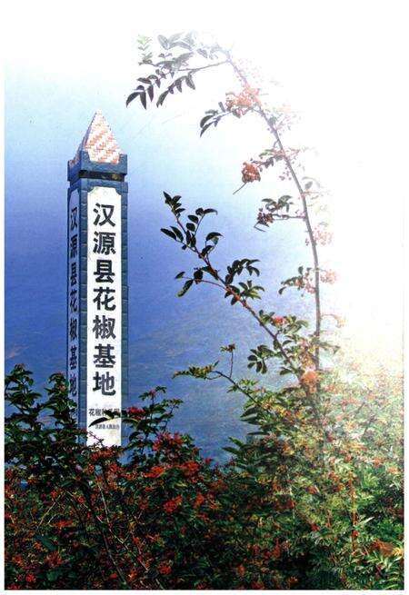 《汉源简志1786-2013》.pdf电子版_四川省志预览图4